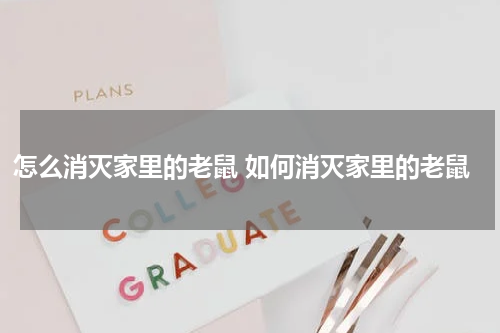 怎么消灭家里的老鼠 如何消灭家里的老鼠